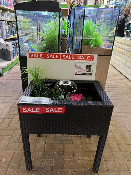 Kirby Bellars Fisheries - Koi Picture 5