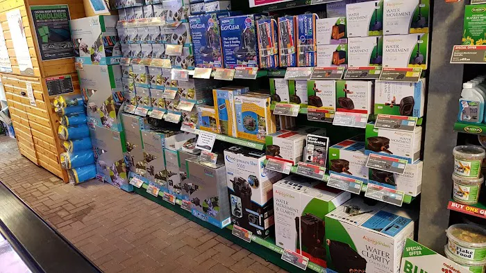 Kirby Bellars Fisheries - Koi Picture 6