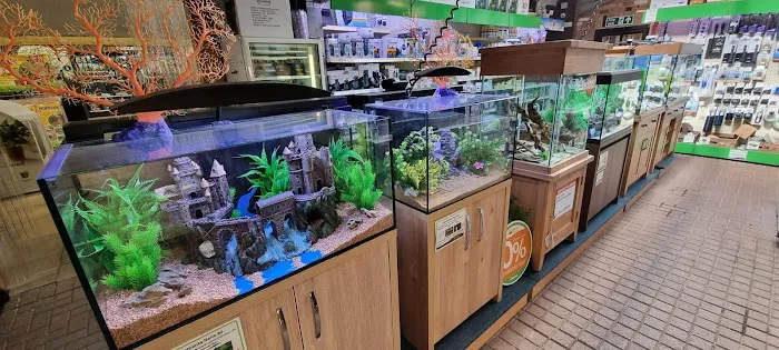 Kirby Bellars Fisheries - Koi Picture 4