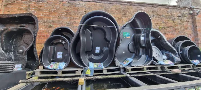 Kirby Bellars Fisheries - Koi Picture 8