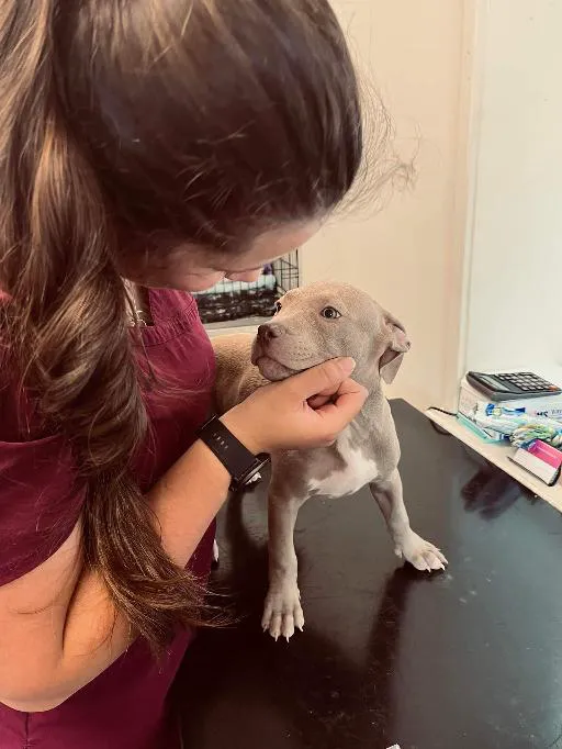 J Krumina Veterinary Picture 10