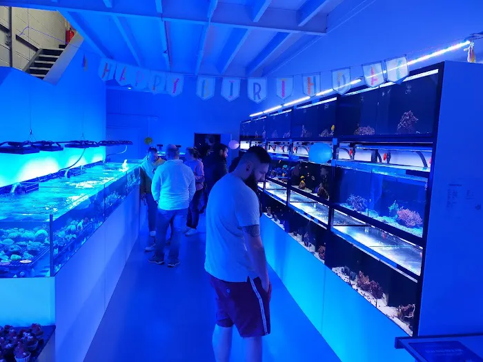 Yorkshire Reefs Picture 1