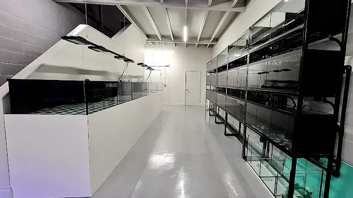 Yorkshire Reefs Picture 4