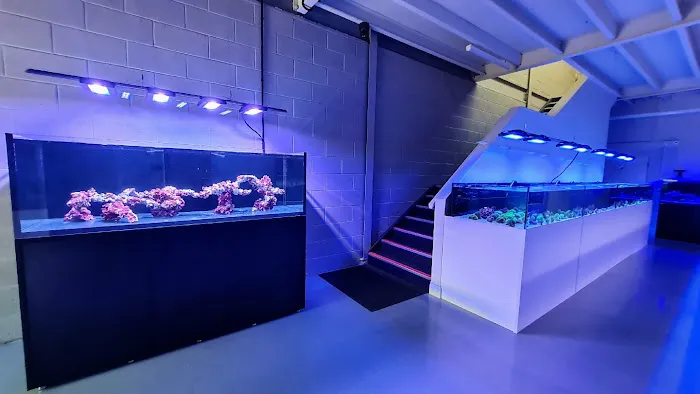 Yorkshire Reefs Picture 3