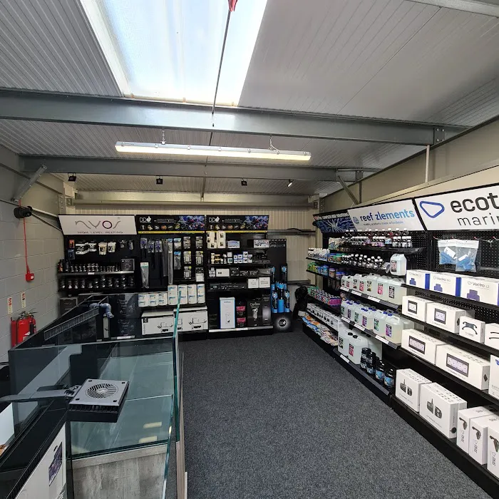 Yorkshire Reefs Picture 6