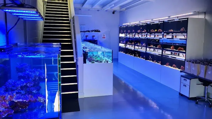 Yorkshire Reefs Picture 5