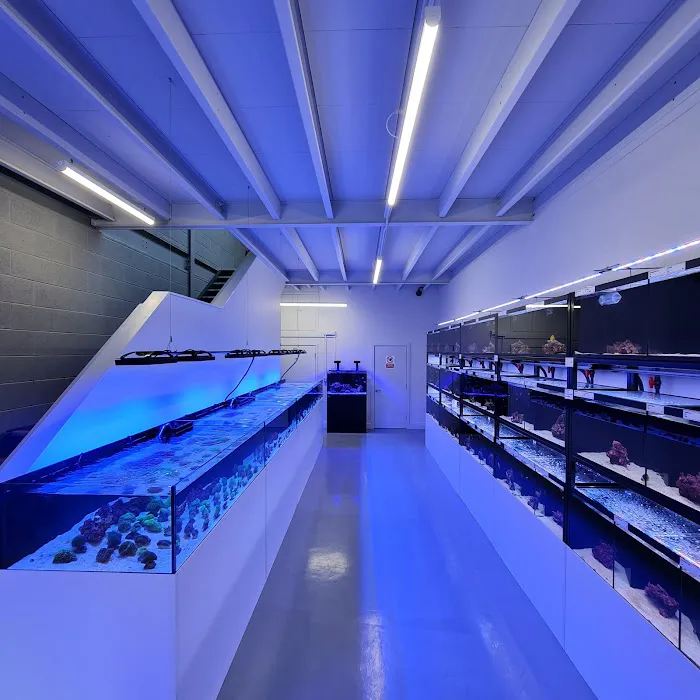 Yorkshire Reefs Picture 9