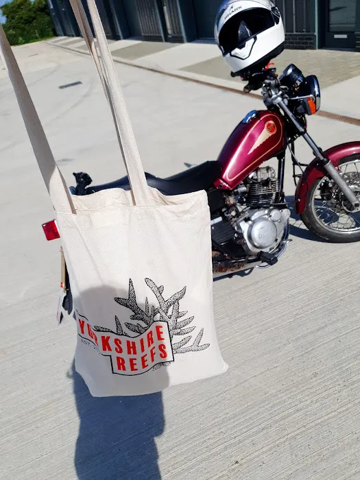 Yorkshire Reefs Picture 7