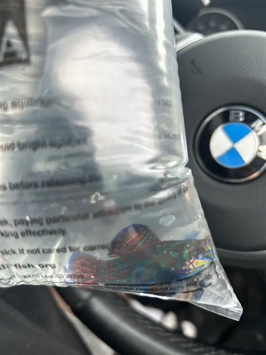 Yorkshire Reefs Picture 10