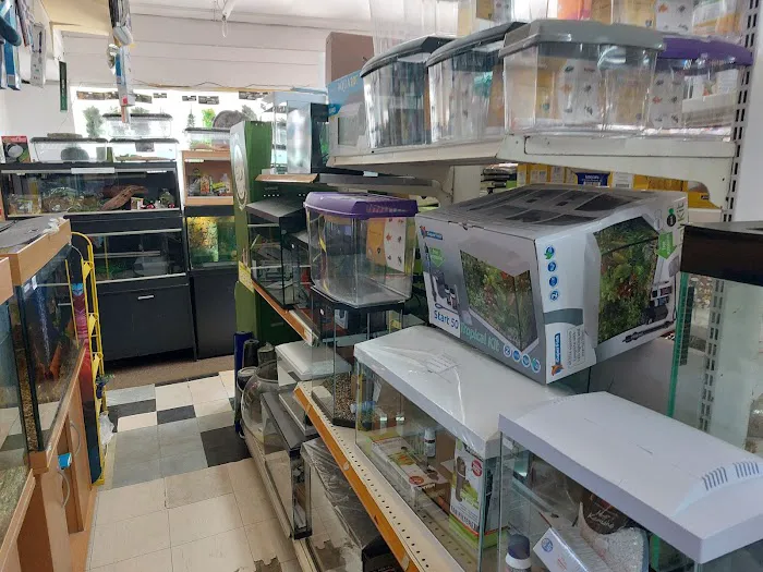 Norton Aquaria Picture 3