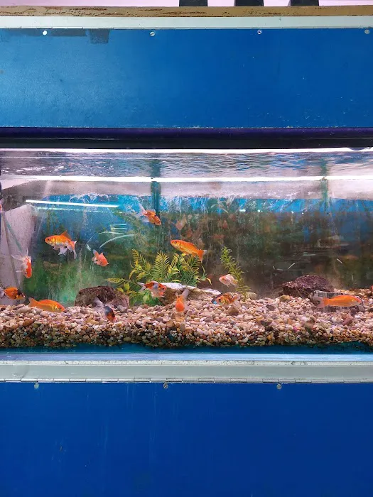 Norton Aquaria Picture 2