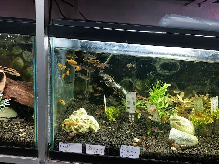 Norton Aquaria Picture 5