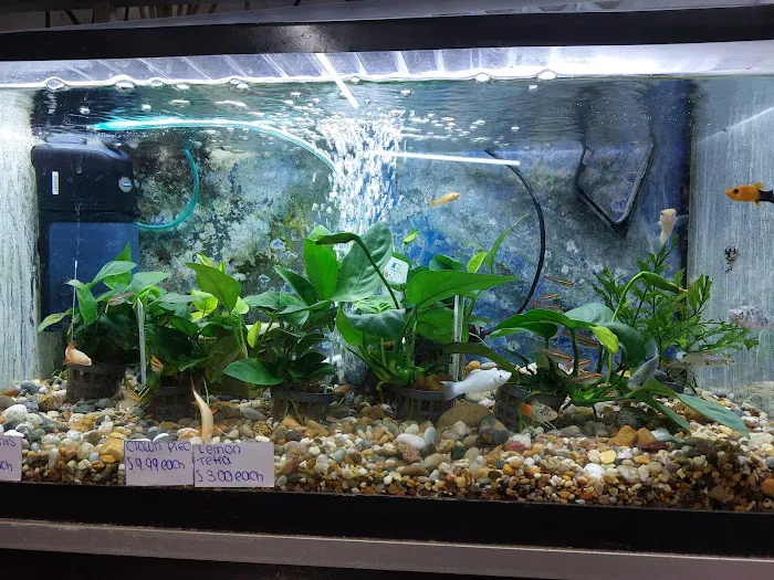 Norton Aquaria Picture 7