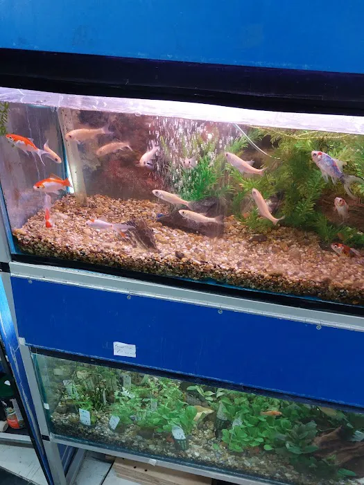 Norton Aquaria Picture 4