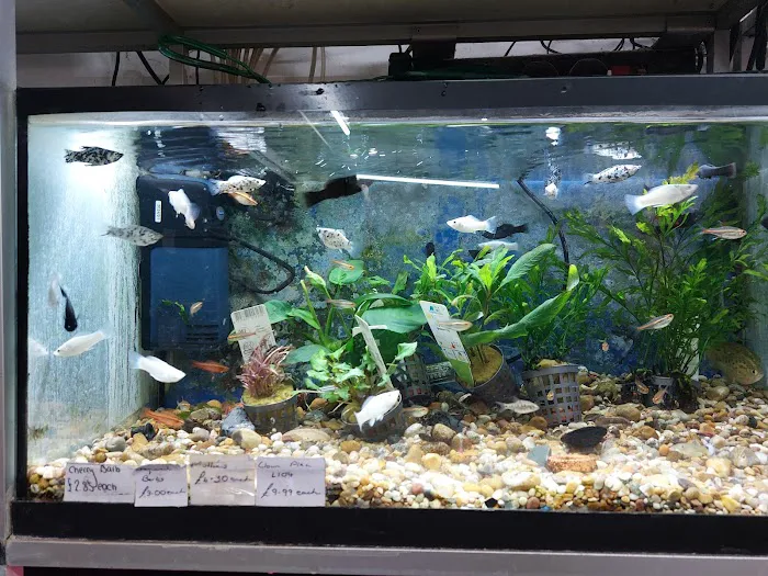 Norton Aquaria Picture 6