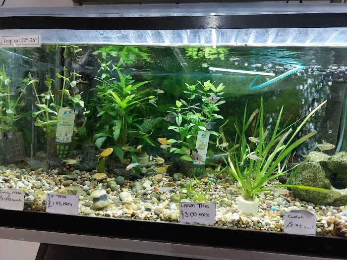 Norton Aquaria Picture 8