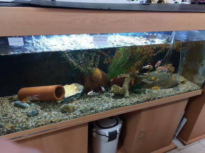 Norton Aquaria Picture 10