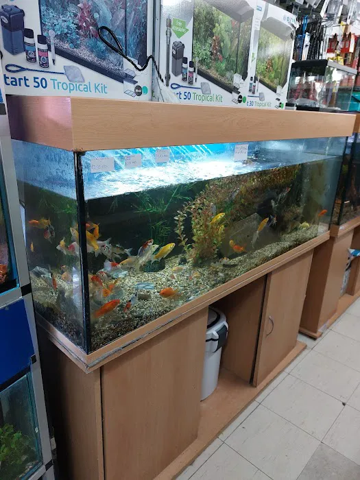 Norton Aquaria Picture 9