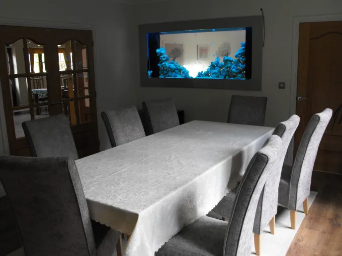 Aquarium Services Ltd Picture 4