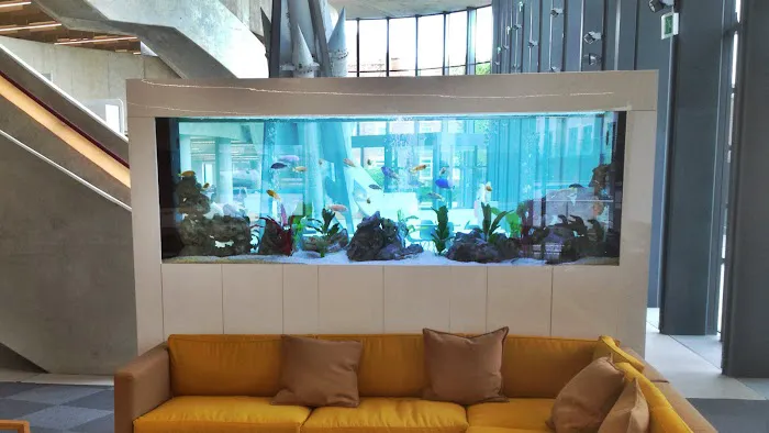 Aquarium Services Ltd Picture 1