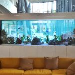 Aquarium Services Ltd