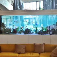 Aquarium Services Ltd ico