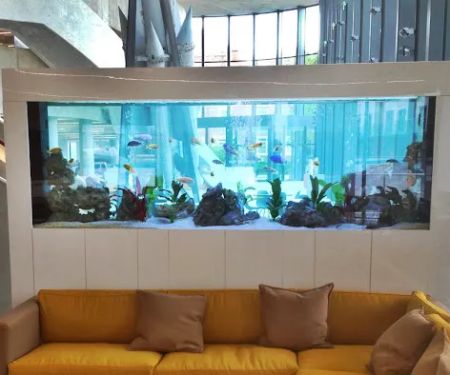 Aquarium Services Ltd