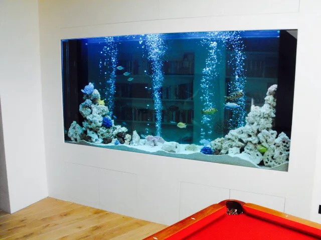 Aquarium Services Ltd Picture 3