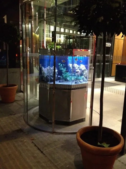 Aquarium Services Ltd Picture 2