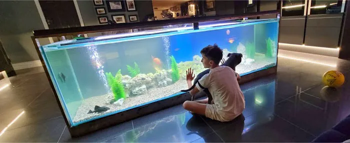 Aquarium Services Ltd Picture 7