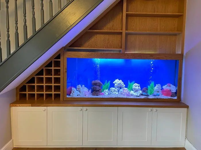 Aquarium Services Ltd Picture 9