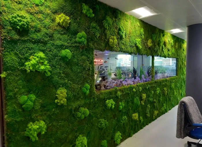 Aquarium Services Ltd Picture 8