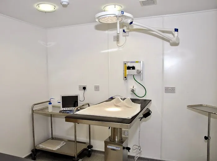 The Pet Vet Picture 4