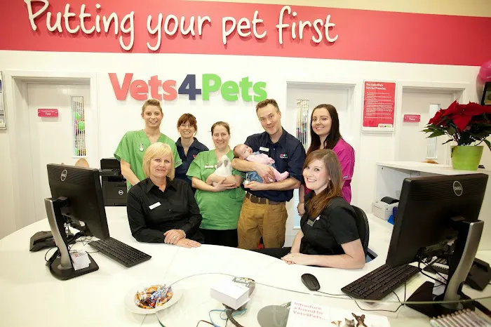 Vets4Pets - Rotherham Parkgate Picture 2