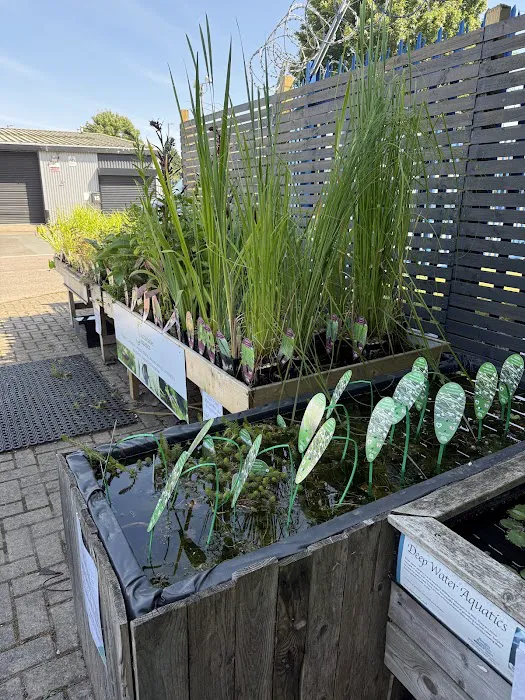 Sustainable Aquatics Picture 3