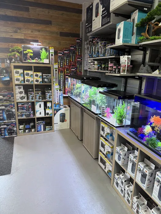 Sustainable Aquatics Picture 5