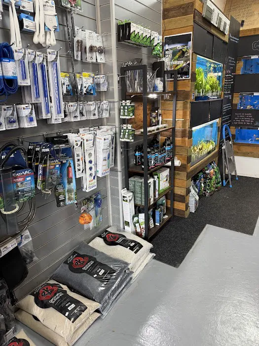 Sustainable Aquatics Picture 6