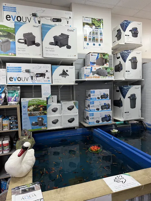 Sustainable Aquatics Picture 10