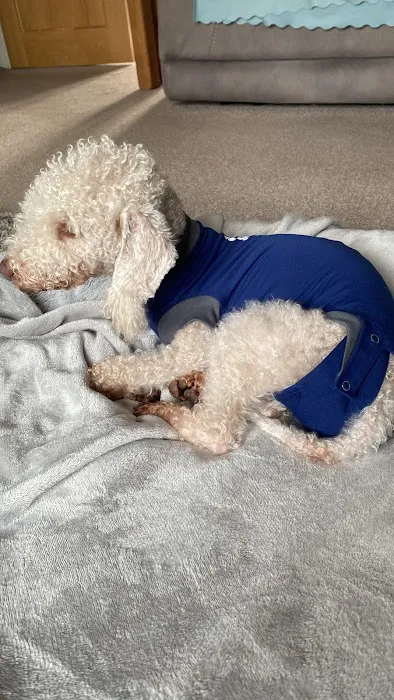 Medivet Wath - Arncliffe Veterinary Centre Picture 8