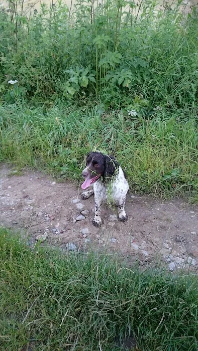 Medivet Wath - Arncliffe Veterinary Centre Picture 10