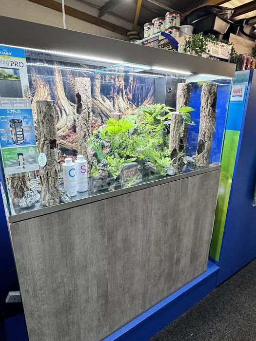 Pet Station Picture 3