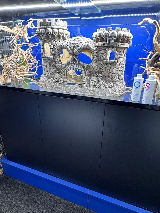 Pet Station Picture 6