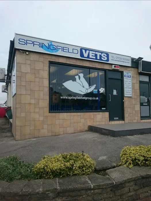 Springfield Veterinary Group - Wickersley Picture 7