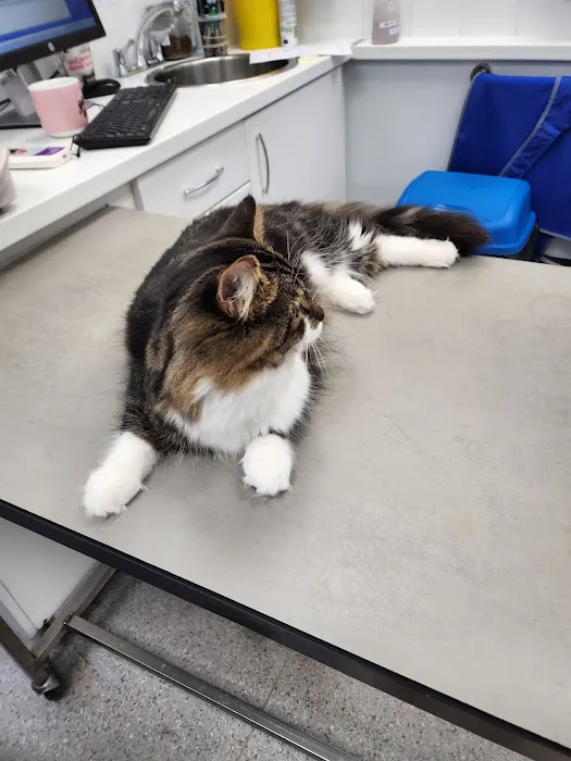 Pets at Home Rotherham Picture 9