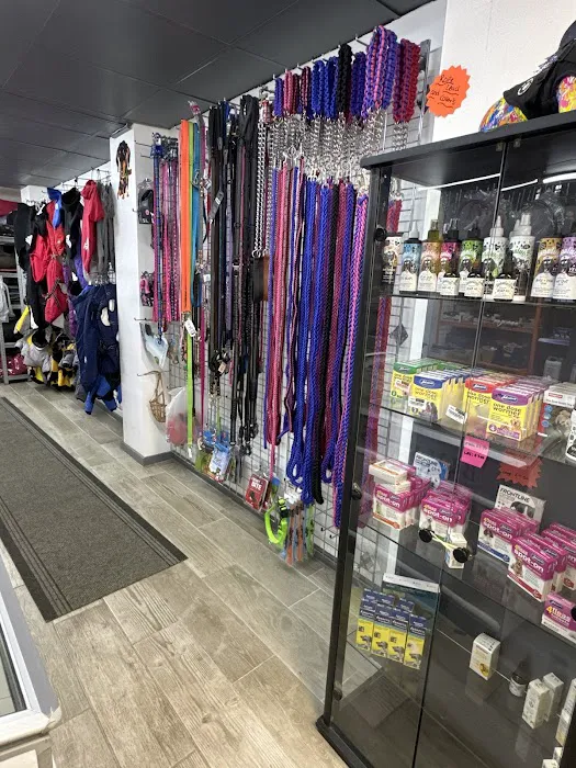 OH MY DAWG Picture 2