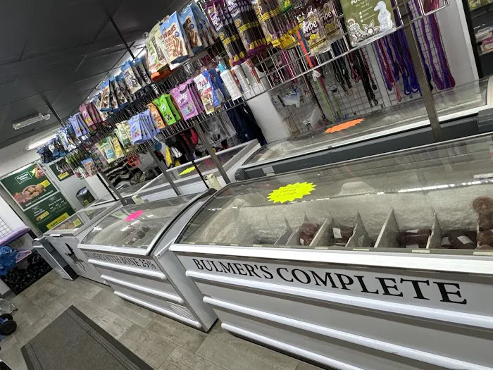 OH MY DAWG Picture 4