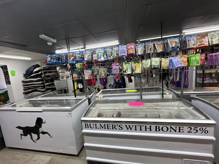 OH MY DAWG Picture 6