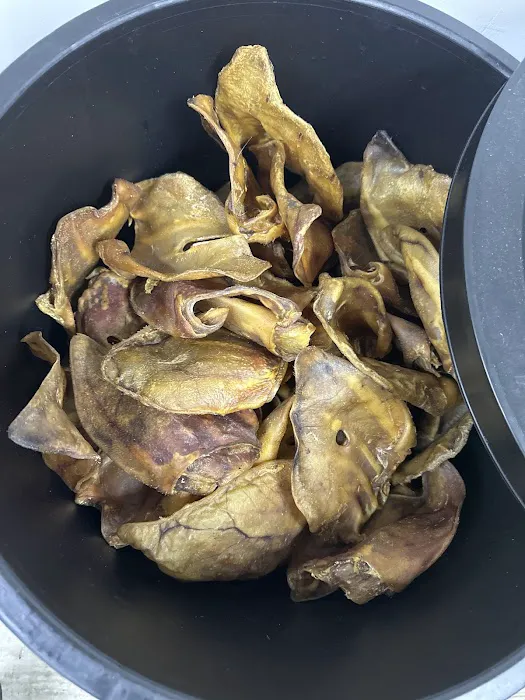 OH MY DAWG Picture 7