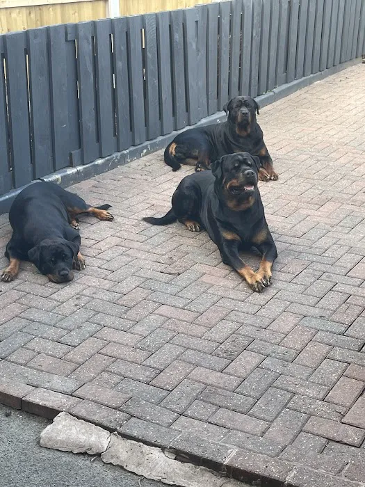 OH MY DAWG Picture 10