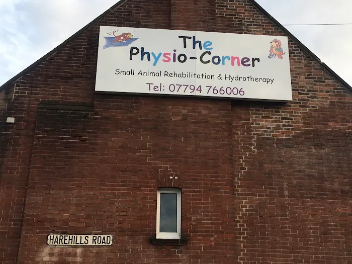 The Physio Corner Picture 6